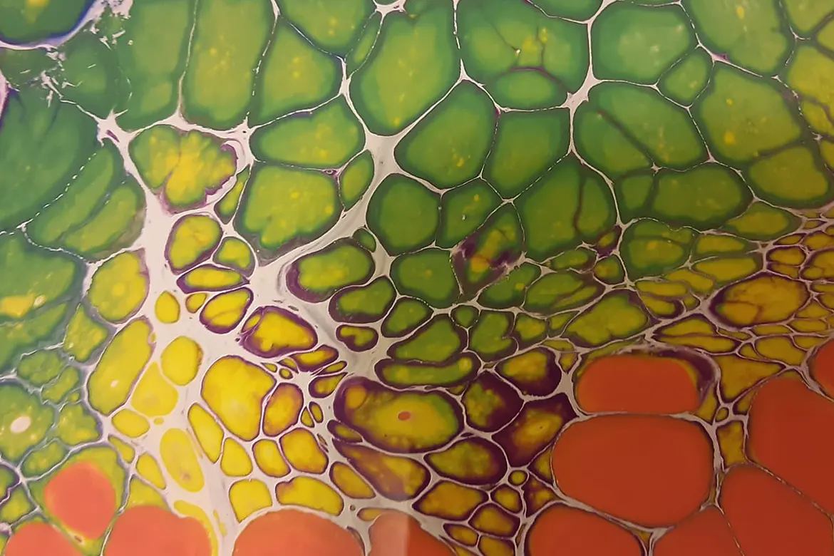 Lamanna Designs - Art Gallery